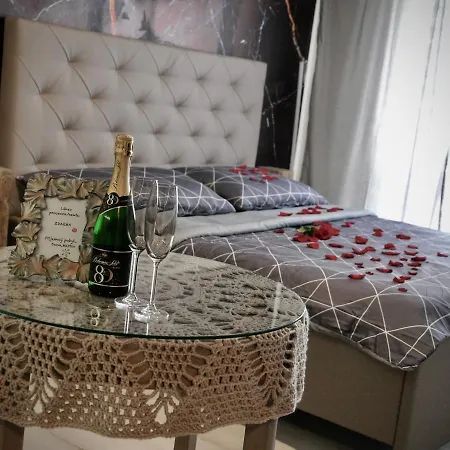 Apartman Luxusni Privatni Wellness V Srdci Vysociny, Apartman Sisi Žďár nad Sázavou
